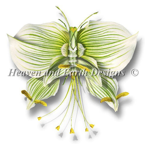 Luminous Agelis - Quick Stitch