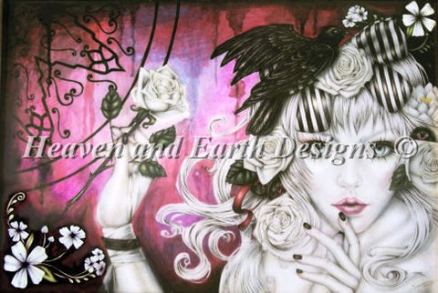 Ravens Dream