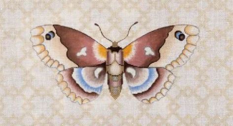 Moth w/Geometric Background