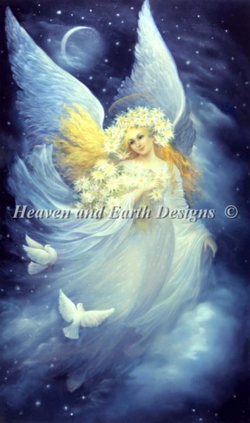 Angel Of Night