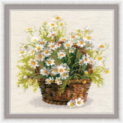 Daisies