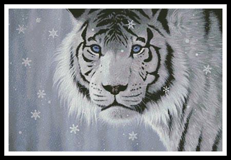 Crystal Eyes  (Jon Rattenbury)