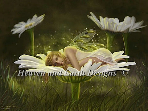 Daisy Fairy