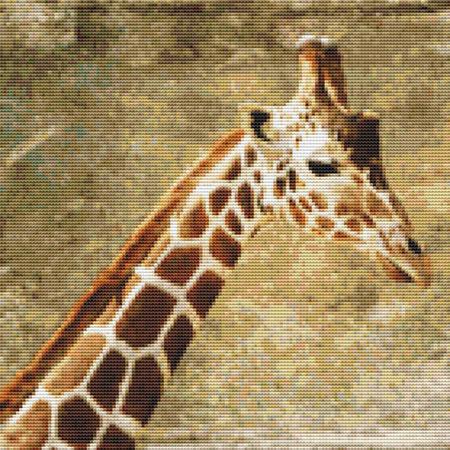 Giraffe Painting