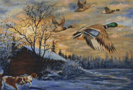 Ducks in Flight