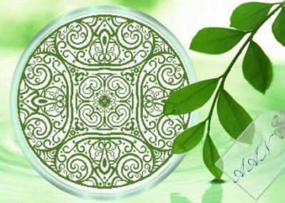 Spring Circle