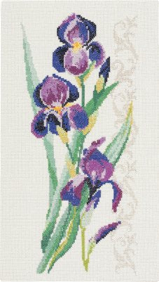 Purple Flowers