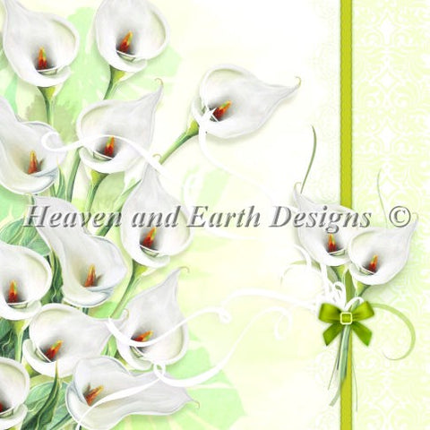 Calla Lily
