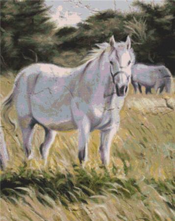 White Horse