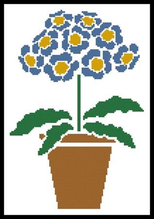 Primrose Pot  (Joni Prittie)