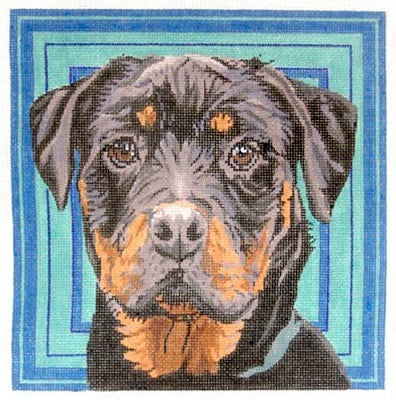 Rottweiler Head