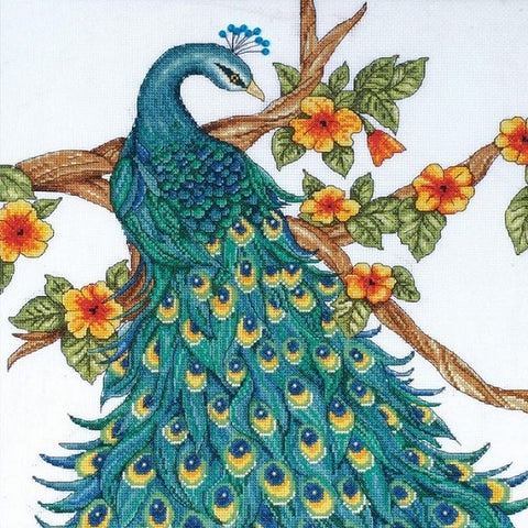 Peacock