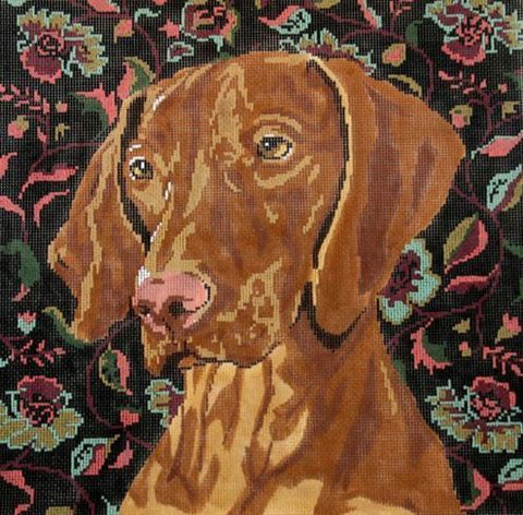 Vizsla