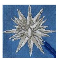 Moravian Star