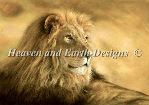 Panthera Leo Lion