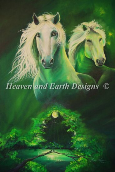 Enchanted Forest