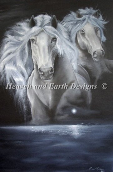Enchanted Moonlight Dreams