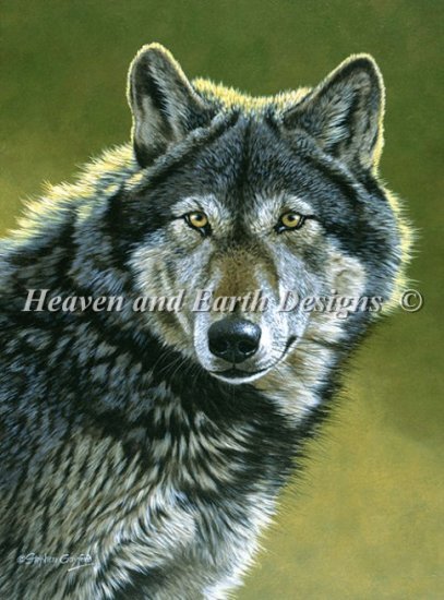 Lobo