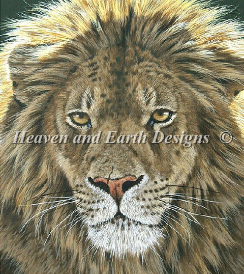 Portrait of a King