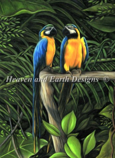 Macaws