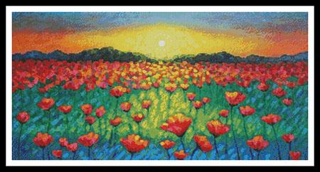 Twilight Poppies  (John Nolan)