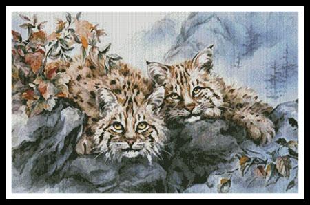 Vista  (Kayomi Harai)