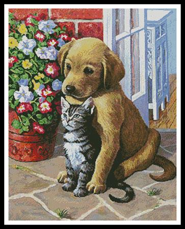 Labrador Puppy and Kitten  (Kevin Walsh)