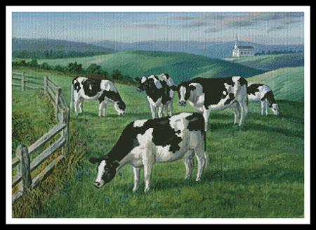 Amazing Grazing  (Randy McGovern)