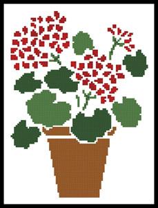 Geranium Pot  (Joni Prittie)