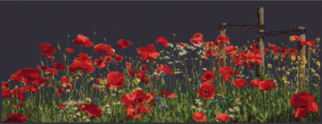 Poppies - On Black Aida