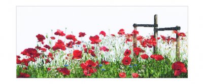 Poppies - On Linen