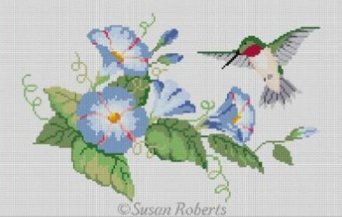 Morning Glories Hummingbird