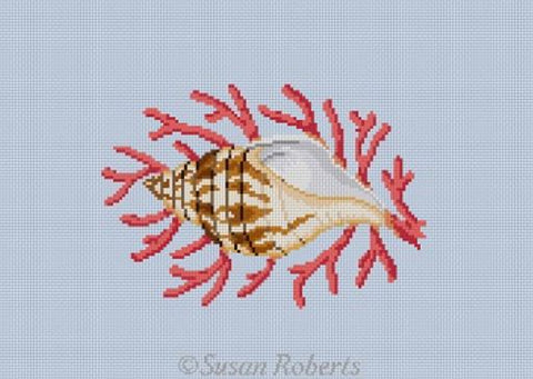 Tulip Shell w/Coral