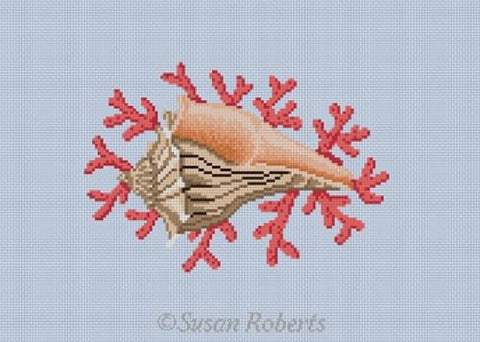 Whelk Shell w/Coral