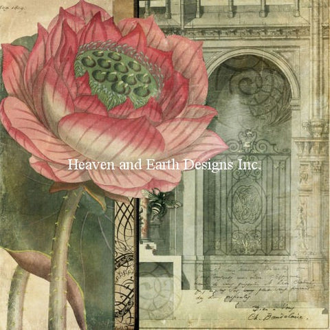 Secret Garden - Aimee Stewart
