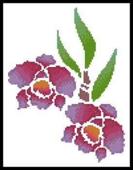 Orchid  (Joni Prittie)