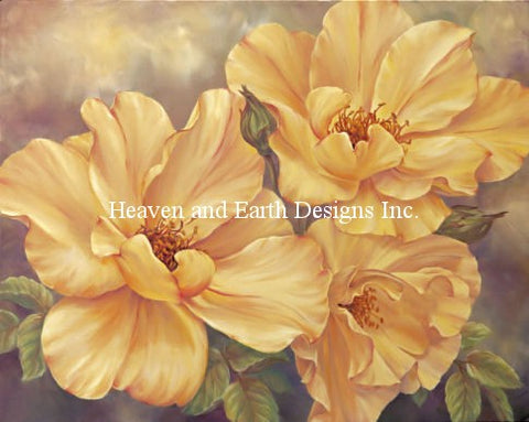 Mini Yellow Roses - Broome