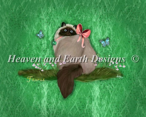 Taurus - Evans