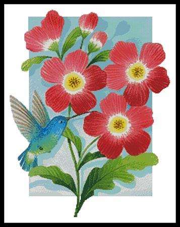 Beija Flor Red  (Johnny Karwan)