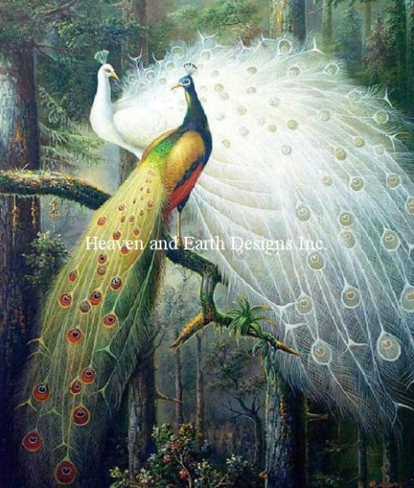 Forest Peacocks