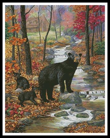 Bearly Moving  (Randy McGovern)