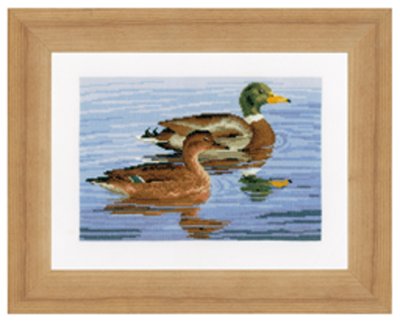 Family of Ducks