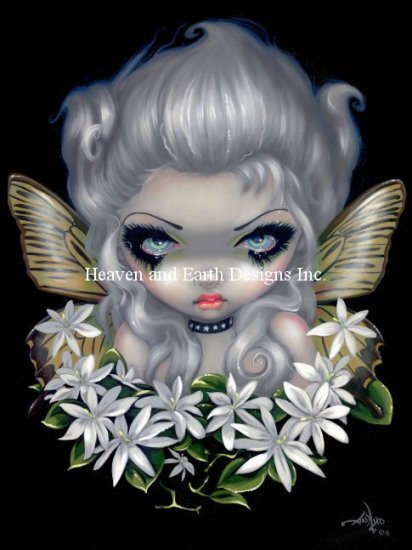 Mini Starry Wild