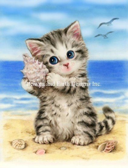 Mini Seashell