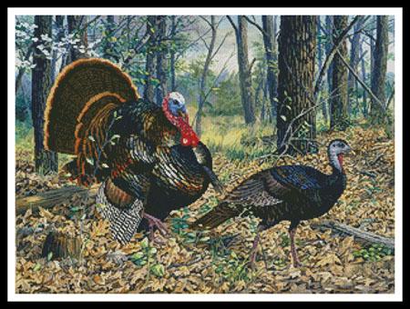 Beauty and the Feast  (Randy McGovern)