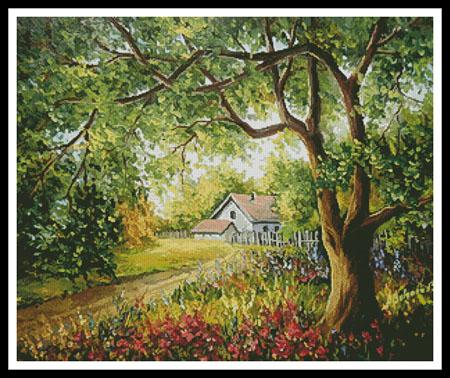 Story of Summer  (Anca Bulgaru)