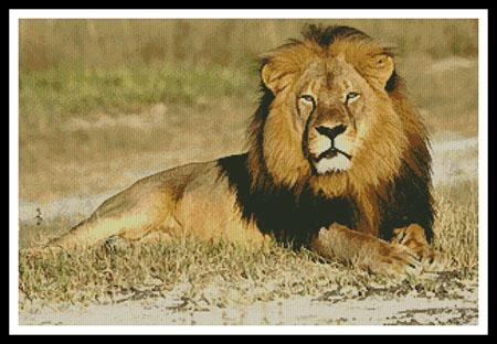 Cecil