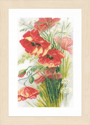 Poppies