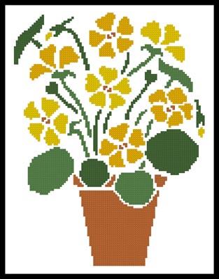 Nasturtium  (Joni Prittie)