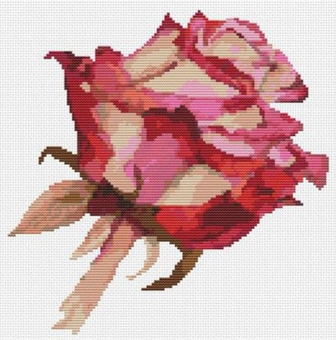 Red Rose